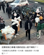 广州街头最近总遇到的“扫码送大鹅”，是啥套路？ - 广东大洋网