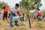长隆发起“我为熊猫种棵竹”植树节公益活动 助力熊猫家园建设 - 新浪广东