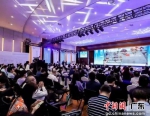2023全球数字医疗创新生态峰会在东莞滨海湾举行。图为峰会现场 作者 李纯 - 中国新闻社广东分社主办