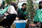市民参与义务植树活动。受访者 供图 - 中国新闻社广东分社主办