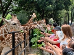 广州动物园优化入园措施，游客可分时段线上预约购票 - 广东大洋网