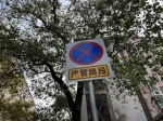 最新！3月24日起，广州机动车违停严管路段有调整 - 广东大洋网