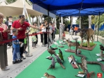 “鸟节”“爱鸟周”启动，广州多个公园可参与趣味科普活动！ - 广东大洋网