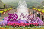 园林花海盛宴是怎样打造的？带你揭秘广州园博会背后的故事 - 广东大洋网