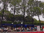 “正清”当天，广州50.1万人次现场祭扫 - 广东大洋网