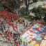 　　中山纪念堂350多岁的“木棉王”见证百童同绘英雄花。（受访者供图）深挖史迹潜能活化“红色资源” - 新浪广东