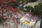 　　中山纪念堂350多岁的“木棉王”见证百童同绘英雄花。（受访者供图）深挖史迹潜能活化“红色资源” - 新浪广东