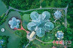 华南国家植物园。受访者供图 - 中国新闻社广东分社主办