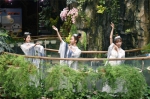 正佳雨林生态植物园里上演《雨林仙子》舞蹈表演。 - 新浪广东