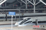 图为深圳北站运行中的高铁列车。 作者 深圳北站 供图 - 中国新闻社广东分社主办