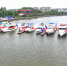 坐游艇打卡“小蛮腰”，黄埔长洲岛游艇码头正式投运 - 广东大洋网