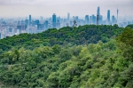 全国首单公园城市景观林保险落地广州 - 广东大洋网