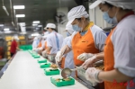 广州发布餐饮食品安全风险提示：中小学食堂不得制售三明治 - 广东大洋网