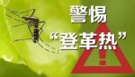 气温回升登革热来袭 这几招让传播疾病的蚊子退退退！ - 广东大洋网