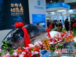 图为一条重约450公斤的蓝鳍金枪鱼亮相博览会。 作者 陈文 - 中国新闻社广东分社主办