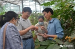华南国家植物园三个新品种通过国家林业和草原局新品种审定 - 广东大洋网