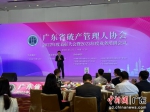 广东省破产管理人协会在广州举办。方伟彬摄 - 中国新闻社广东分社主办
