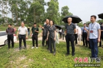 广州中院相关负责人带领记者对生态修复情况进行现场回访。 作者 彭勇 - 中国新闻社广东分社主办