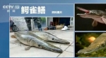 广州拟立法规范“野生动物放生”，违法放生最高罚10万 - 广东大洋网