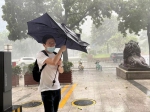 倾盆大雨！广州午后预计仍有强雷雨 - 广东大洋网