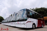 广州首批纯电动6.5米“小公交”上线，中心区实现公交全面电动化 - 广东大洋网