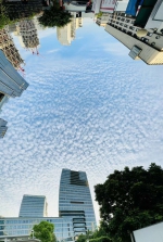 昨天“水中波纹飞上天”，最近广州的天空惊喜不断 - 广东大洋网