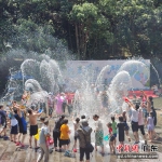 众人参与泼水活动。广州市林业和园林局 供图 - 中国新闻社广东分社主办