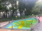 深度丨被闲置的小区游泳池 - 广东大洋网