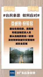 城市安全系列科普 | “杜苏芮”虽远，台风避险“六字诀”仍需牢记 - 广东大洋网
