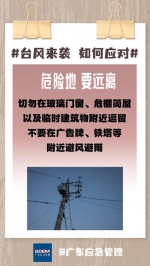 城市安全系列科普 | “杜苏芮”虽远，台风避险“六字诀”仍需牢记 - 广东大洋网