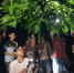 “植物园奇妙夜”点燃浪漫暑假！粤港澳青少年走进华南植物园 - 广东大洋网