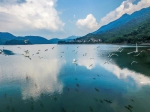 广州规划2035年建成“五源六脉”水资源格局 - 广东大洋网